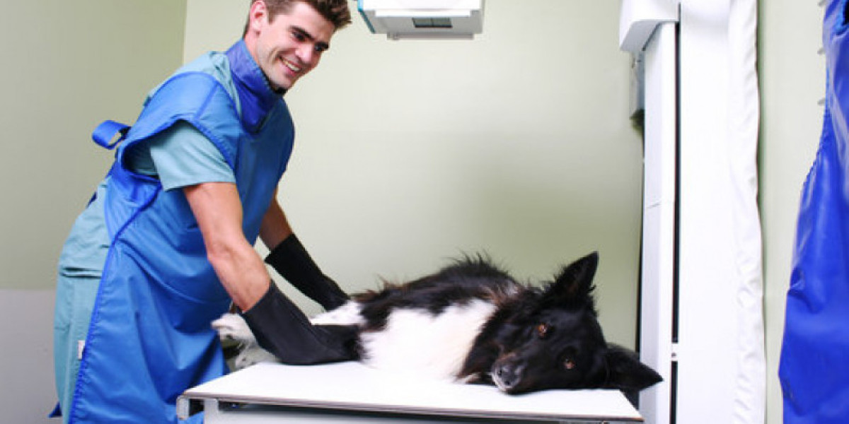 Sistema de radiografía de rayos X digital animal veterinario portátil de 5kW