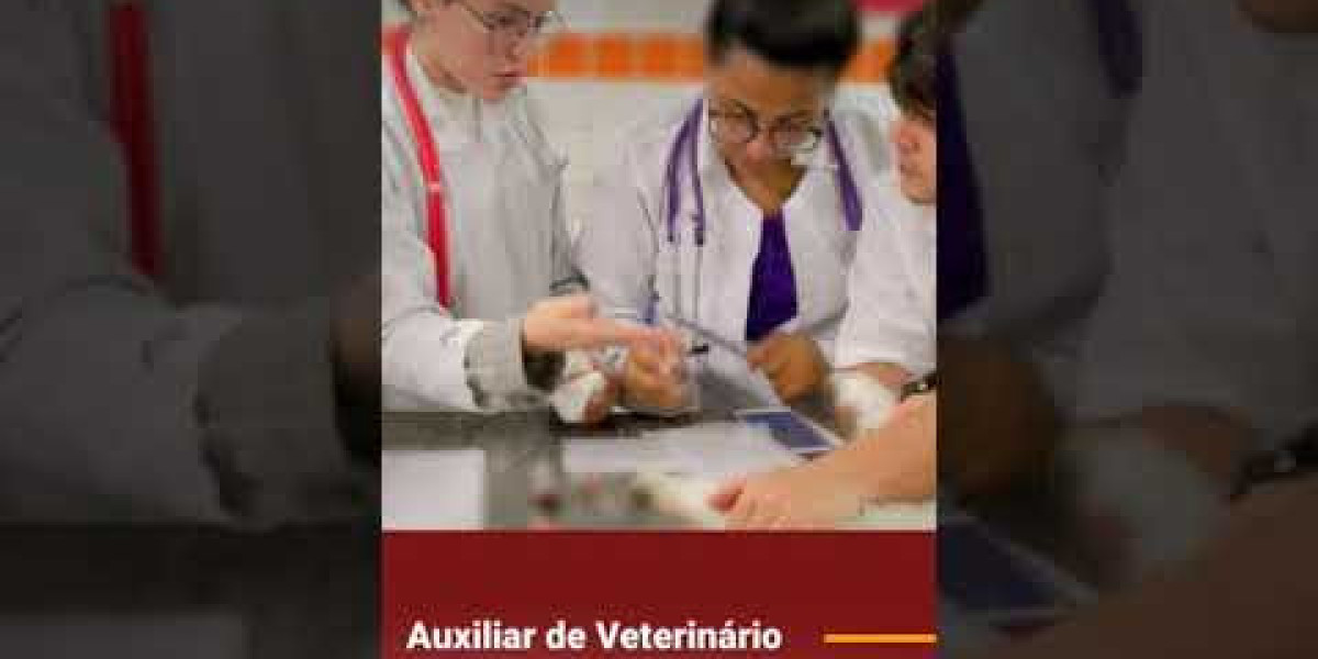 Radiografía para perros: ¿Cuánto cuesta en México?