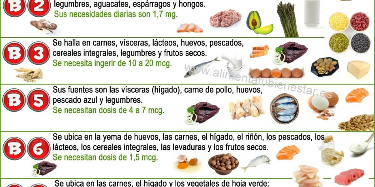 ¿La Vitamina B12 Engorda? Mitos y Realidades que Debes Conocer